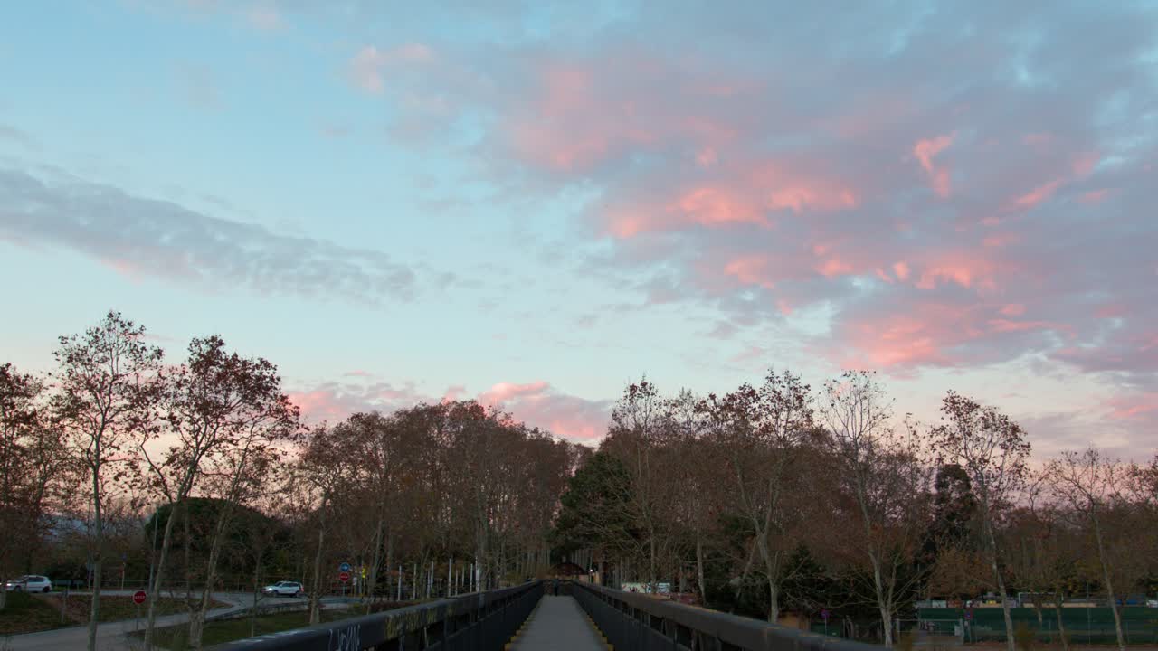 도보 다리와 구름 위의 멋진 일몰 색상이 있는 고요한 숲 풍경