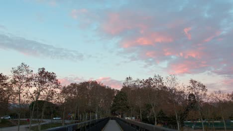 Paisaje-Tranquilo-Del-Bosque-Con-Puente-Peatonal-E-Impresionantes-Colores-De-Puesta-De-Sol-En-Las-Nubes