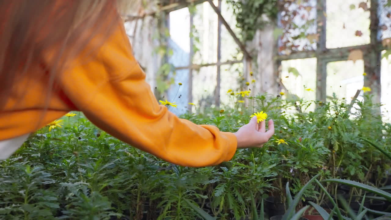 온실 에서 꽃 을 만지는 여자