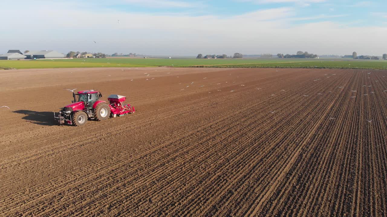 Moving drone shot of red tractor plowing a brown, earthy farmland with birds, seagulls following, flying
