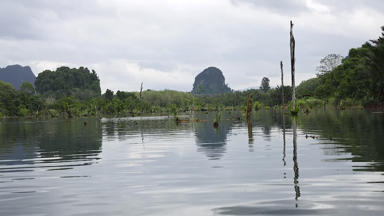울창한 초록색과 산이 있는 평화로운 수로
