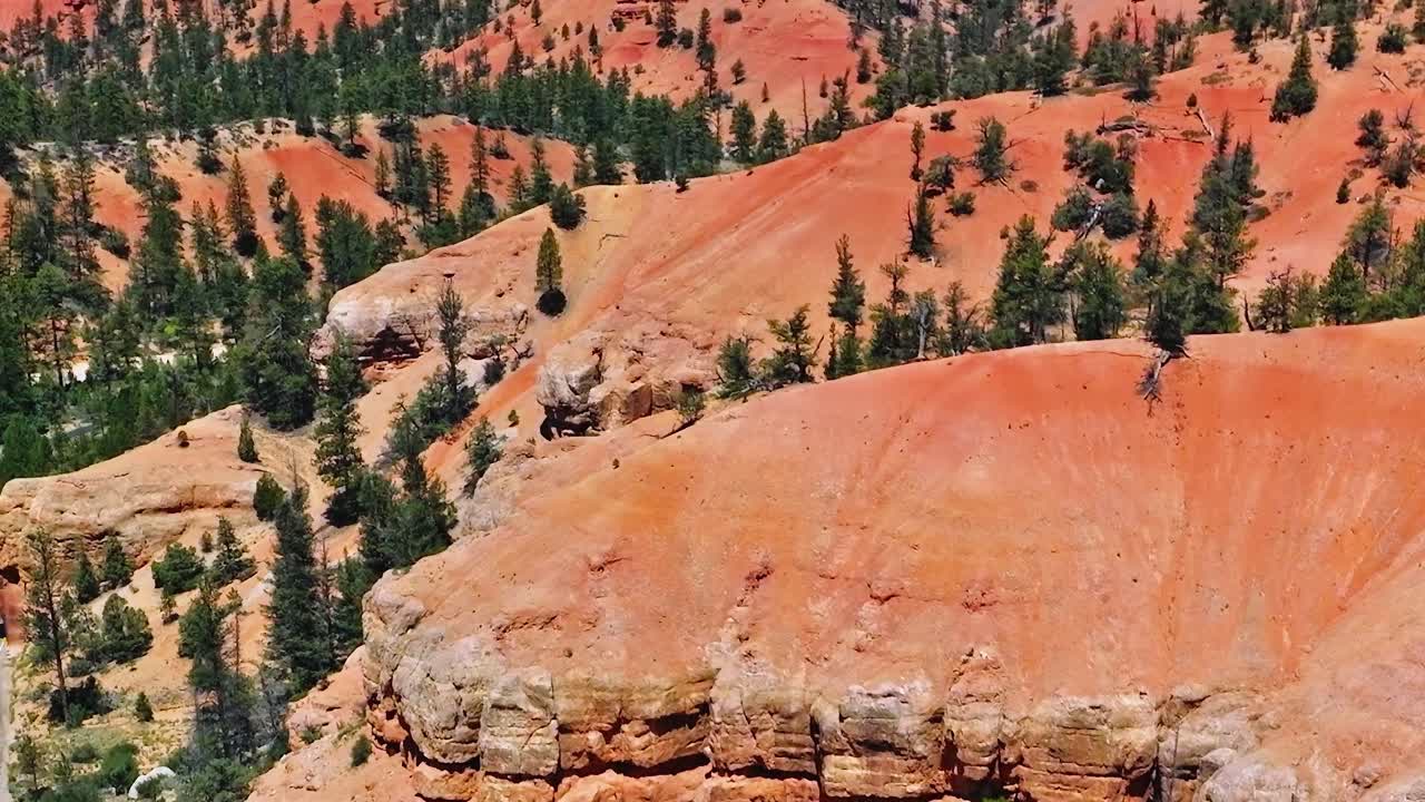 Paesaggio del Mojave con rocce arancioni, alberi e strada di giorno