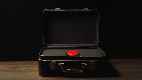 vintage suitcase with a red button