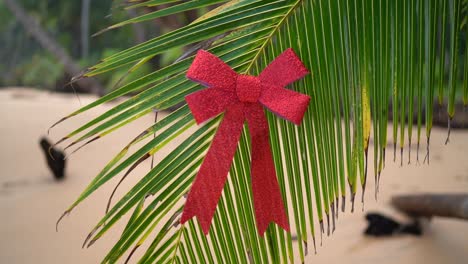 Rote-Schleife,-Die-An-Einer-Grünen-Palme-Am-Tropischen-Sandstrand-Hängt