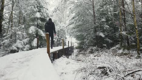 hombre caminando por un puente de madera nevado en un bosque