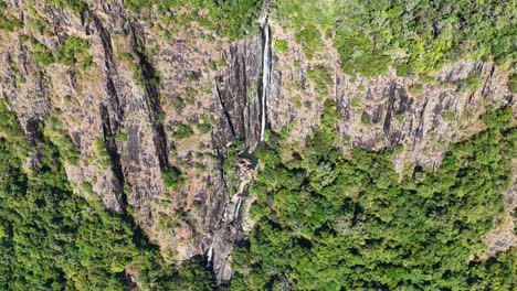 drone footage captures a stunning waterfall cascading down rocky cliffs surrounded by lush greenery in the daintree rainforest