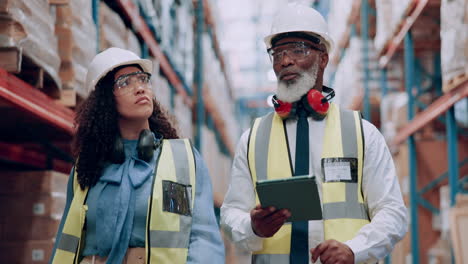 warehouse team inspection