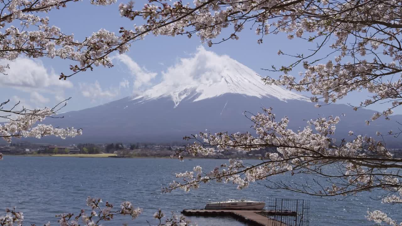 Boat pier with backdrop of Mt. Fuji with Sakura cherry blossoms