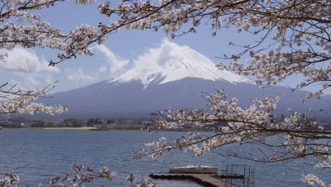 boat pier with backdrop of mt. fuji with sakura cherry blossoms