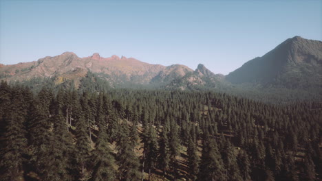 Majestuosas-Montañas-Con-Bosque-En-Primer-Plano-En-Canadá