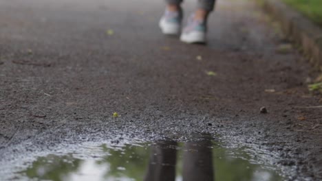 person walking on wet path
