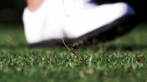 golfer drives golf ball decisively