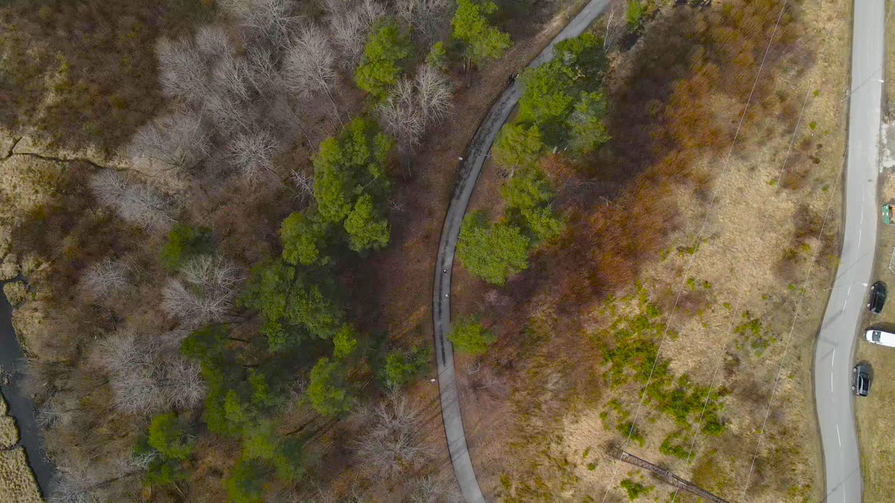 Top down aerial drone footage flying over a quiet colorful spring or autumn neighborhood where people are rollerblading on the road between leafless trees and green pine trees. Laagri river visible.