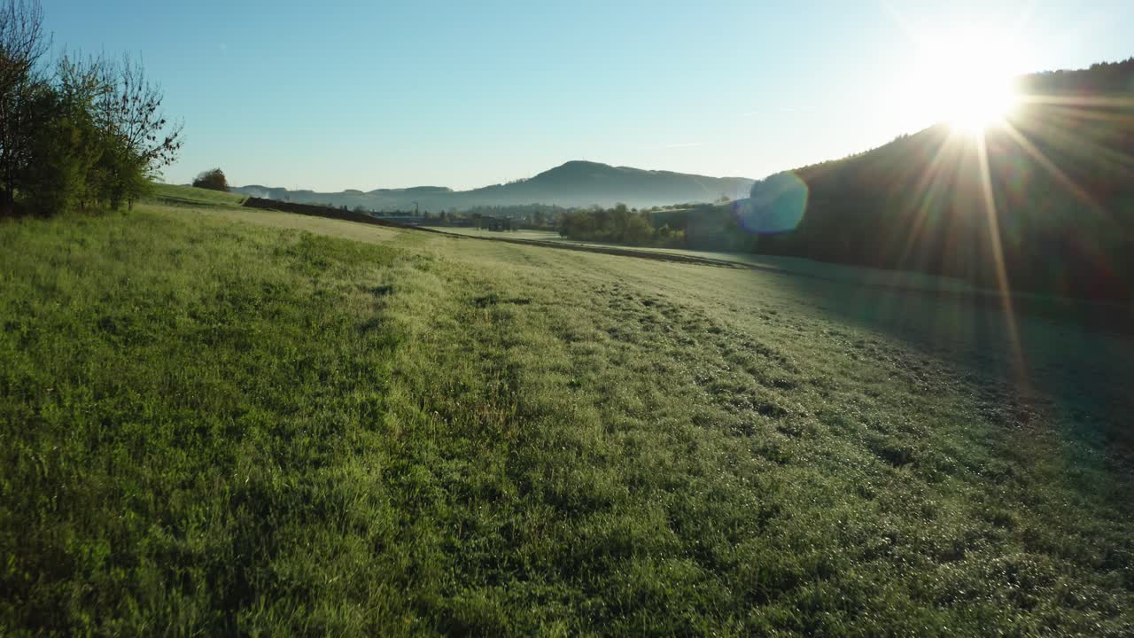 volo ravvicinato su un bellissimo campo verde rugiada mattutina durante l'ora mattutina, drone aereo girato su una tranquilla campagna con campi verdi e agricoli