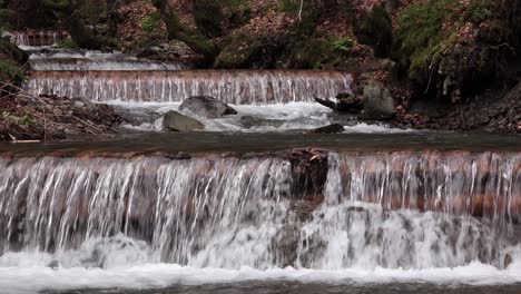 forest waterfall stream