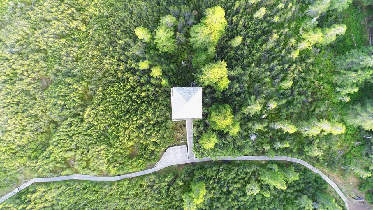 Lush green beauty of Lovrenska woods aerial reveal