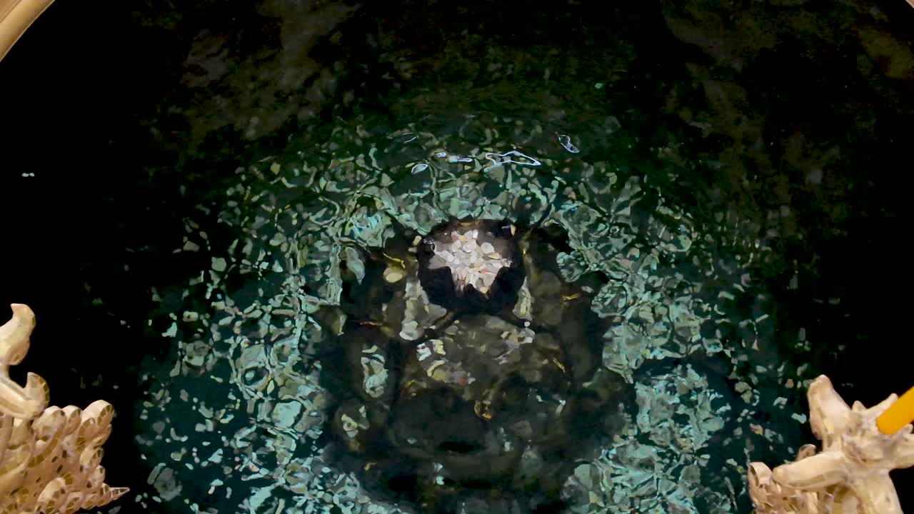A wishing well at a temple in Chiang Rai Thailand filled with water and coins thrown in for good luck and blessings
