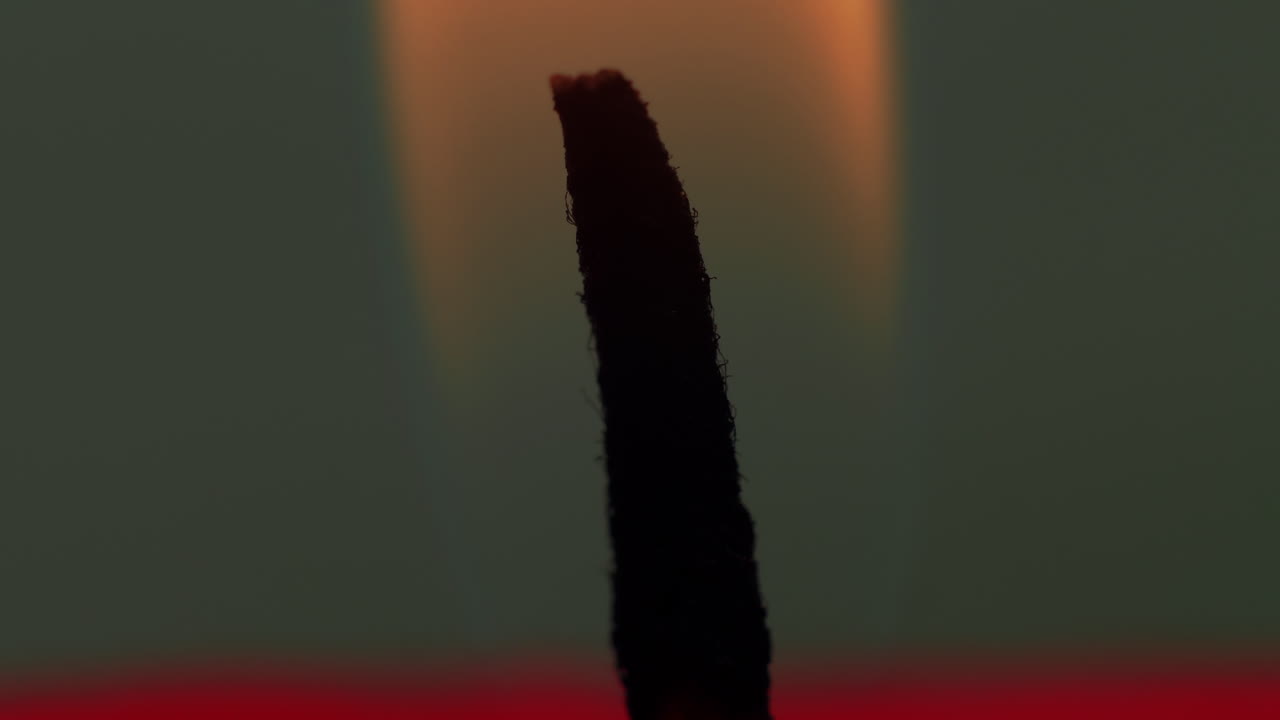 foto de estudio macro: la mecha ardiente de la llama de la vela se extingue y se quema