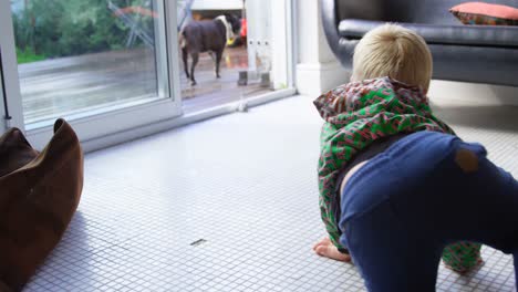 Boy-playing-with-his-pet-dog-at-home-4k