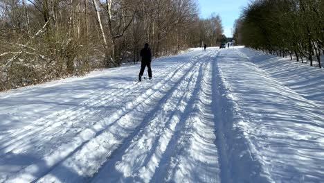 a cross country ski trail at forest with skiers during sunny wintertime