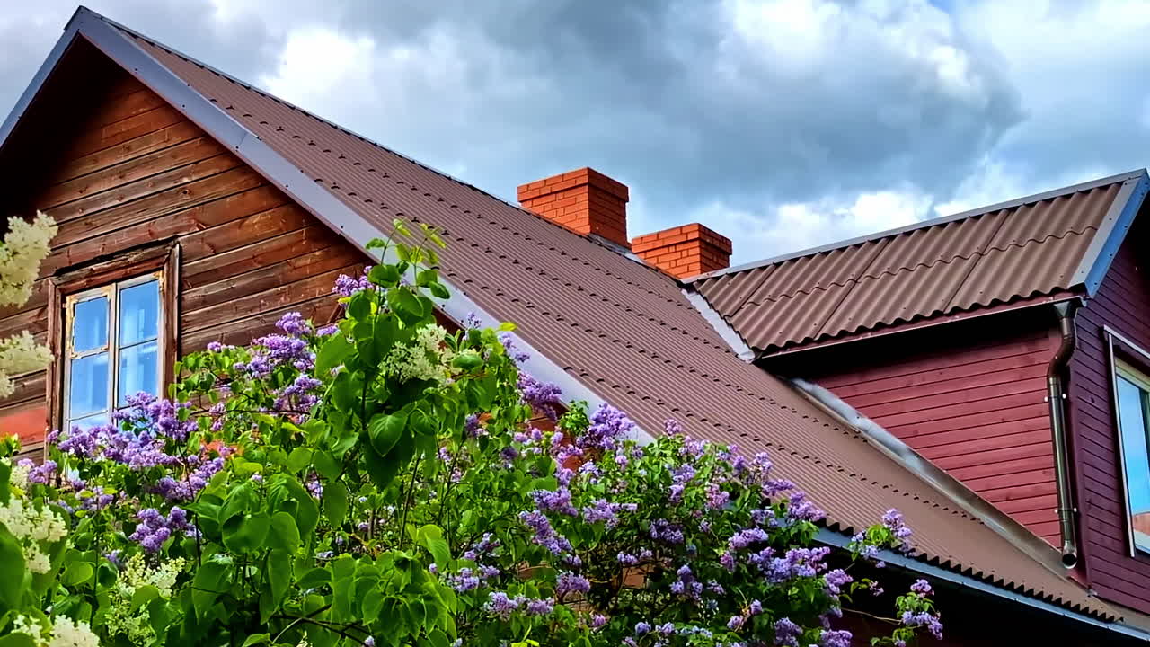 Rustic wooden house with blooming lilac bushes and cloudy spring sky