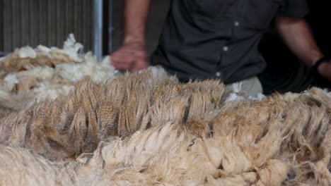 Hands-of-Caucasian-male-farmer-sorting-sheep-wool,-Closeup