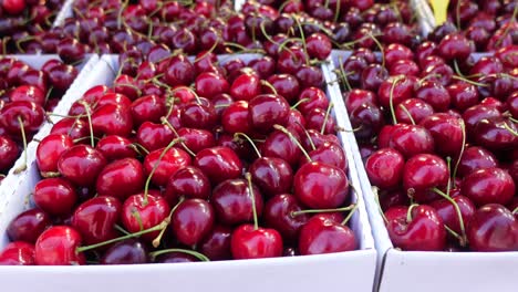 fresh cherries in boxes