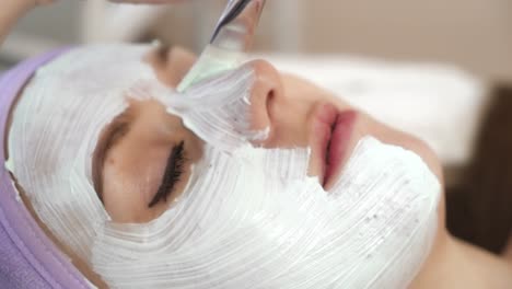 woman with facial mask. cosmetician applying clay facial mask at woman face