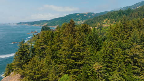 aerial view of the rugged coastline with forests and sea stacks