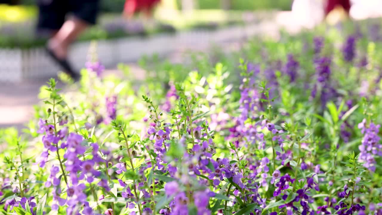 활기찬 꽃 정원을 지나가는 사람들