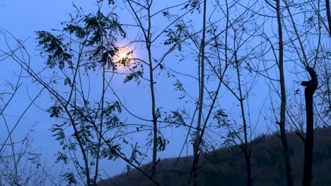 moon light over the dark forest in northern region of iran climate the rural village countryside local people life in nature natural hyrcanian landscape in iran highland mountain life hazy day fog