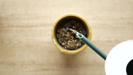 watering a potted plant