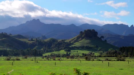 hermosa vista de las verdes colinas y valles de nueva zelanda