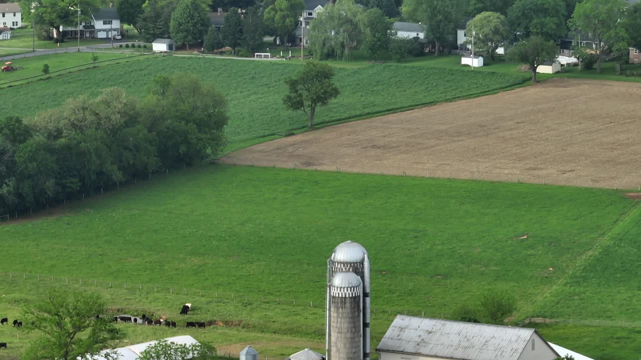 Industrial silo storage on farm surrounded by green fields and trees in spring. American Countryside with clouds at sky. Aerial zoom shot.