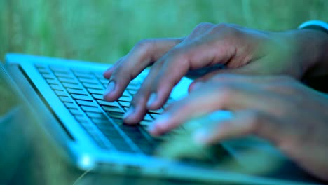 close-up, hands of an indian paren sitting on the grass typing text on the laptop keyboard