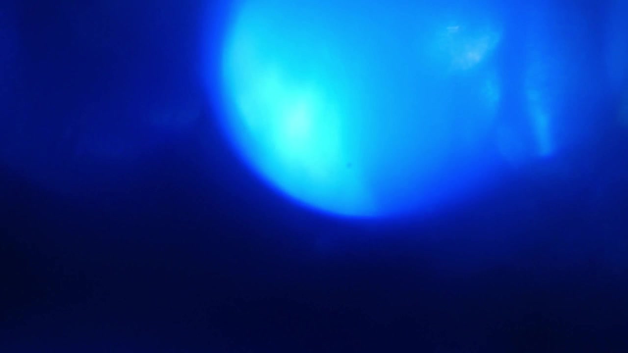 Sovrapposizione dinamica di fughe di luce blu e bagliori dell'obiettivo