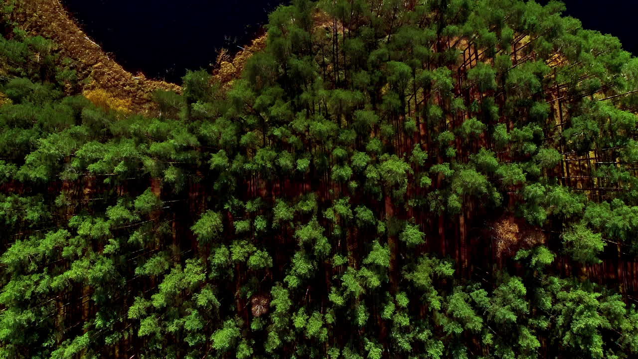 저녁에 푸른 나무 숲으로 둘러싸인 작은 호수의 공중 조감도와 나무 꼭대기에 떨어지는 태양 광선