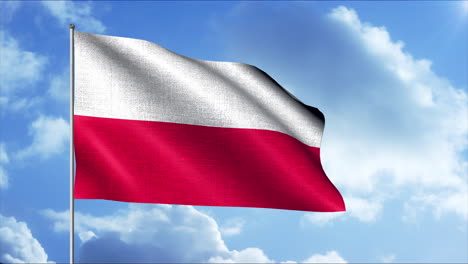 polish flag