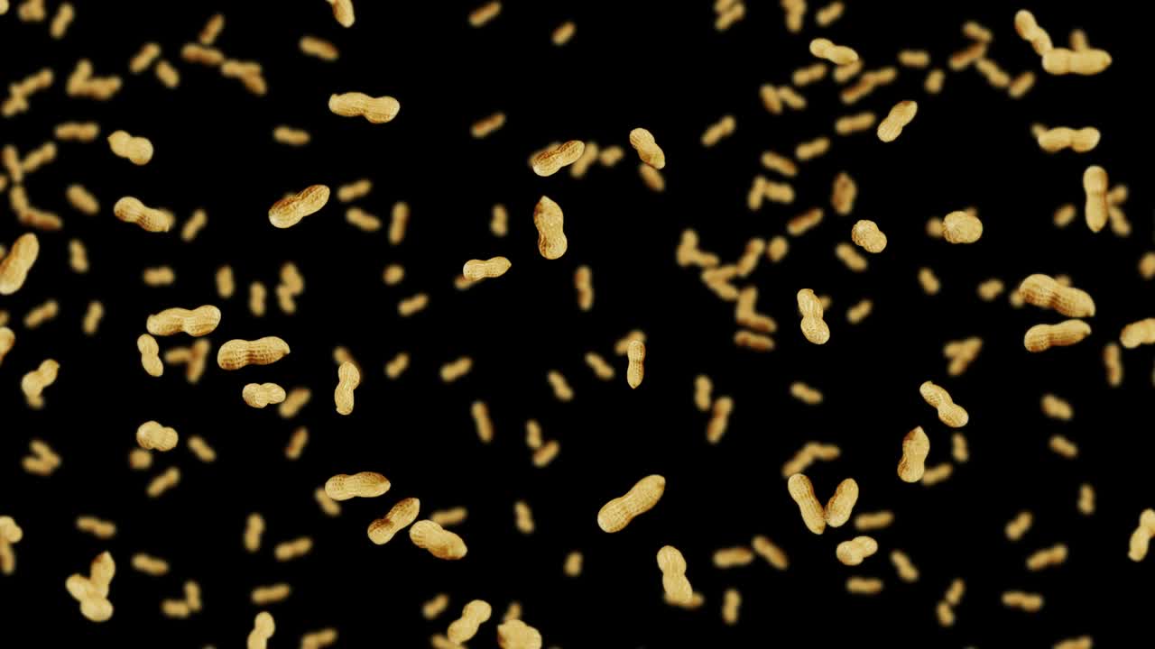 Molti arachidi che volano su sfondo nero. Arachidi crude. Arachidi con guscio. Cibo biologico sano. Animazione 3D in loop di semi che ruotano.