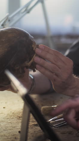 archaeologist examining a skull