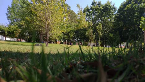 gente disfrutando del tiempo libre bajo los árboles de un parque paisajístico, el viento mueve sus hojas parpadeantes en una soleada tarde de verano, tiro panorámico bloqueado