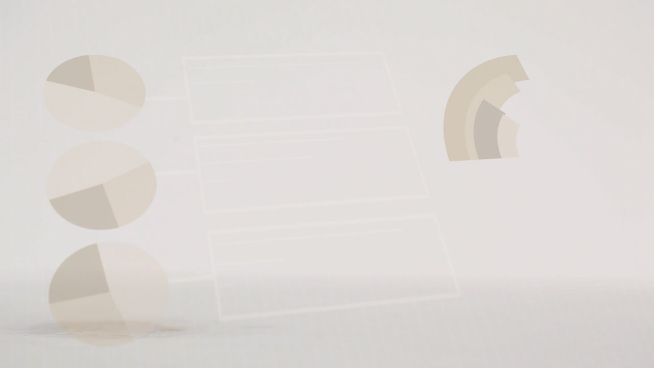 집 모델에 대한 통계 및 데이터 처리의 애니메이션