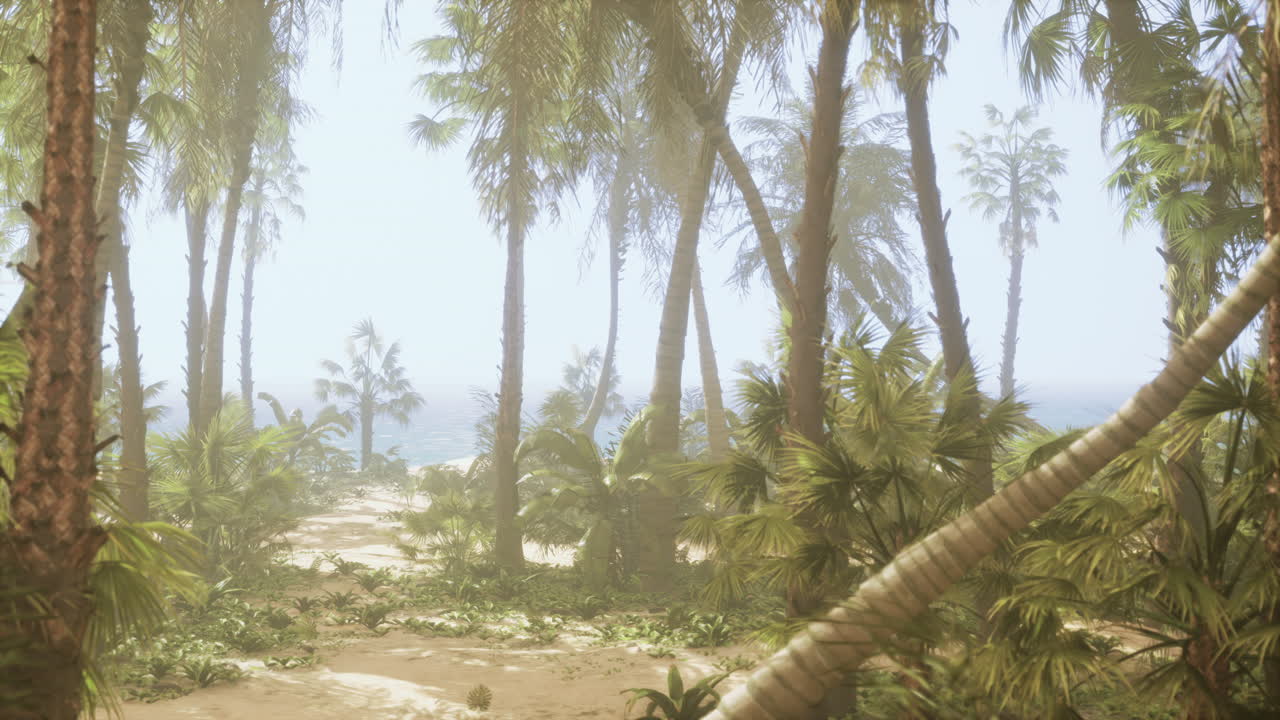 Tropical Beach with Palm Trees and Ocean