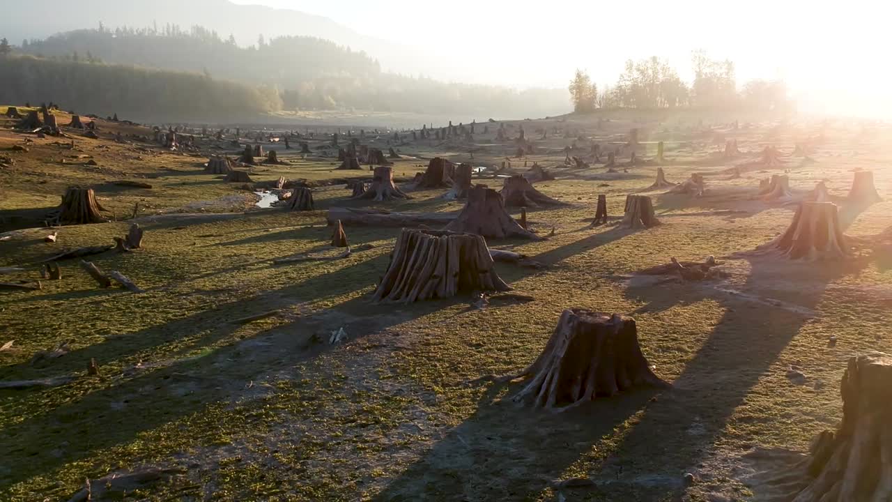 미국 워싱턴 주 알더 호수에서 여름이 끝날 무렵 공중 드론 영상