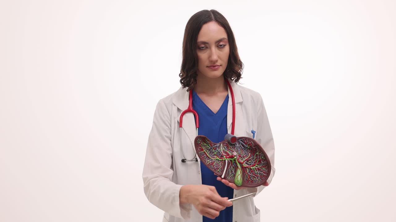 Doctor Explains Liver Anatomy