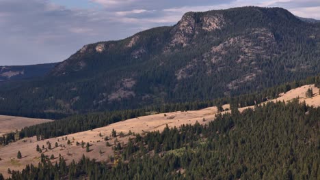 exploring harper mountain's close surroundings from above: a coalescence of forests and grassy mountains near kamloops