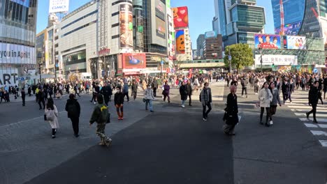 pedestrians crossing a busy city square