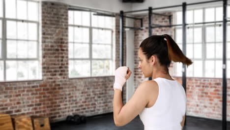 el boxeo de sombras 4k