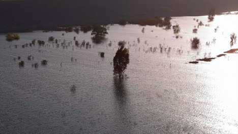 aerial view of sunlit park submerged due to recent heavy rainstorms