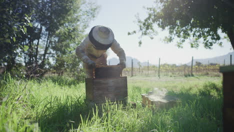 Las-Abejas-Nos-Pueden-Enseñar-Mucho